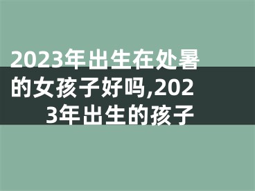 2023年出生在处暑的女孩子好吗,2023年出生的孩子