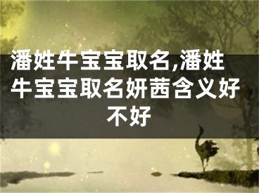 潘姓牛宝宝取名,潘姓牛宝宝取名妍茜含义好不好