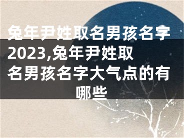 兔年尹姓取名男孩名字2023,兔年尹姓取名男孩名字大气点的有哪些