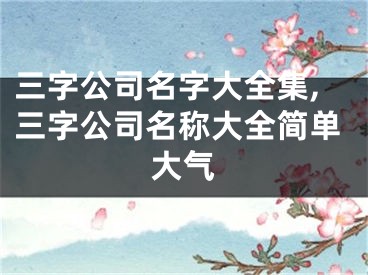 三字公司名字大全集,三字公司名称大全简单大气