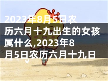 2023年8月5日农历六月十九出生的女孩属什么,2023年8月5日农历六月十九日