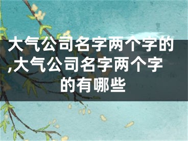 大气公司名字两个字的,大气公司名字两个字的有哪些