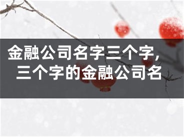 金融公司名字三个字,三个字的金融公司名