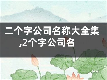 二个字公司名称大全集,2个字公司名