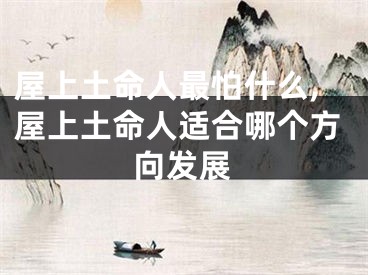 屋上土命人最怕什么,屋上土命人适合哪个方向发展