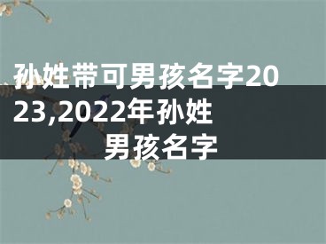 孙姓带可男孩名字2023,2022年孙姓男孩名字