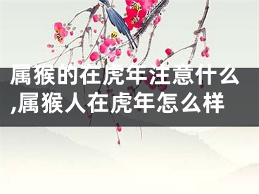 属猴的在虎年注意什么,属猴人在虎年怎么样