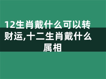 12生肖戴什么可以转财运,十二生肖戴什么属相