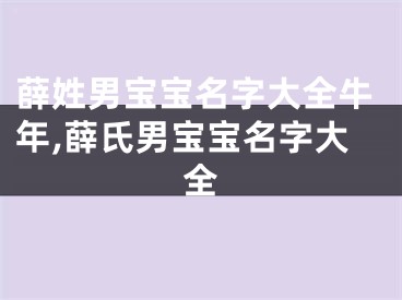 薛姓男宝宝名字大全牛年,薛氏男宝宝名字大全