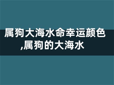 属狗大海水命幸运颜色,属狗的大海水