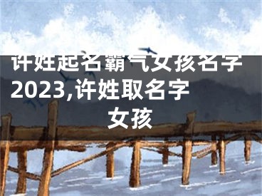 许姓起名霸气女孩名字2023,许姓取名字女孩