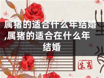 属猪的适合什么年结婚,属猪的适合在什么年结婚