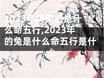 2023年属兔的是什么命五行,2023年的兔是什么命五行是什么