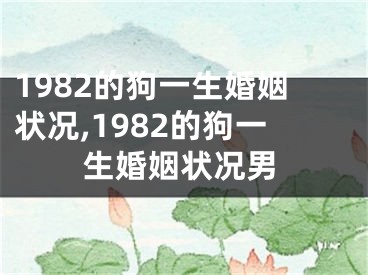 1982的狗一生婚姻状况,1982的狗一生婚姻状况男