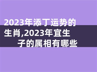 2023年添丁运势的生肖,2023年宜生子的属相有哪些