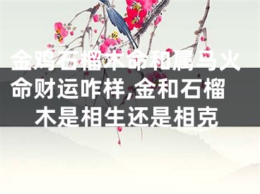 金鸡石榴木命和属马火命财运咋样,金和石榴木是相生还是相克