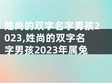 姓尚的双字名字男孩2023,姓尚的双字名字男孩2023年属兔