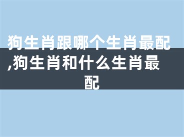 狗生肖跟哪个生肖最配,狗生肖和什么生肖最配