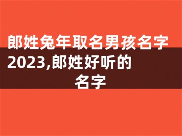 郎姓兔年取名男孩名字2023,郎姓好听的名字