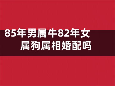 85年男属牛82年女属狗属相婚配吗