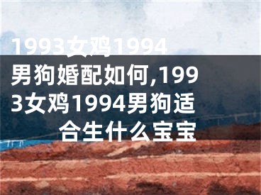 1993女鸡1994男狗婚配如何,1993女鸡1994男狗适合生什么宝宝