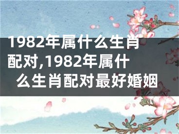 1982年属什么生肖配对,1982年属什么生肖配对最好婚姻