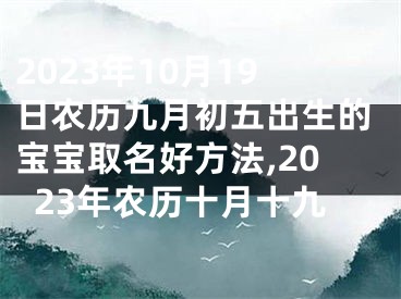 2023年10月19日农历九月初五出生的宝宝取名好方法,2023年农历十月十九