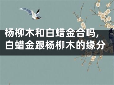 杨柳木和白蜡金合吗,白蜡金跟杨柳木的缘分