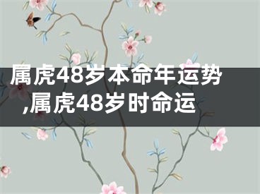 属虎48岁本命年运势,属虎48岁时命运