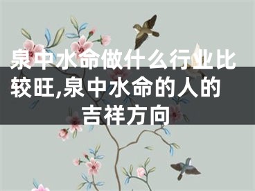 泉中水命做什么行业比较旺,泉中水命的人的吉祥方向