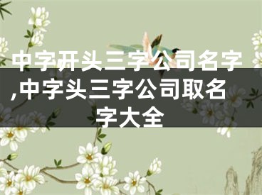 中字开头三字公司名字,中字头三字公司取名字大全