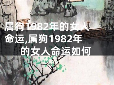 属狗1982年的女人命运,属狗1982年的女人命运如何