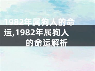 1982年属狗人的命运,1982年属狗人的命运解析