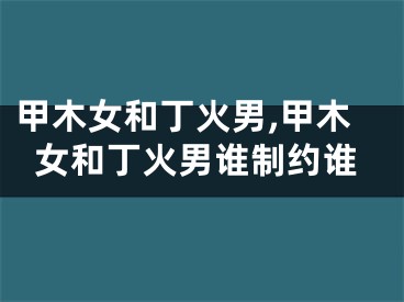 甲木女和丁火男,甲木女和丁火男谁制约谁