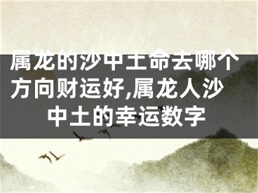 属龙的沙中土命去哪个方向财运好,属龙人沙中土的幸运数字