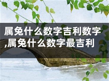 属兔什么数字吉利数字,属兔什么数字最吉利