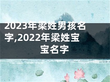 2023年梁姓男孩名字,2022年梁姓宝宝名字