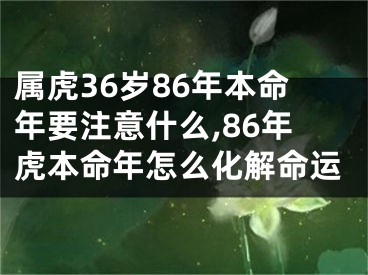 属虎36岁86年本命年要注意什么,86年虎本命年怎么化解命运