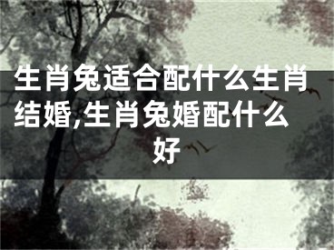 生肖兔适合配什么生肖结婚,生肖兔婚配什么好