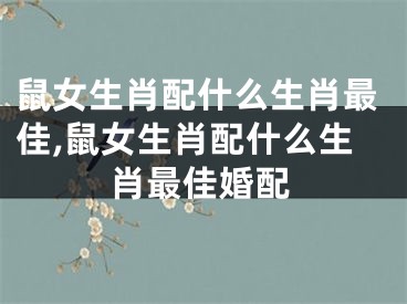 鼠女生肖配什么生肖最佳,鼠女生肖配什么生肖最佳婚配