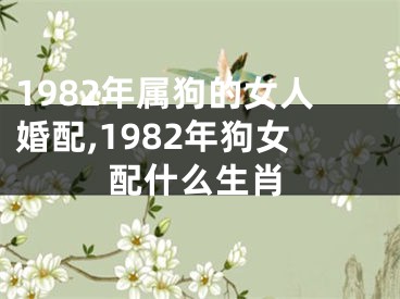 1982年属狗的女人婚配,1982年狗女配什么生肖