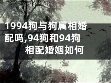 1994狗与狗属相婚配吗,94狗和94狗相配婚姻如何