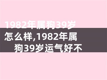 1982年属狗39岁怎么样,1982年属狗39岁运气好不