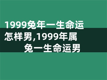 1999兔年一生命运怎样男,1999年属兔一生命运男