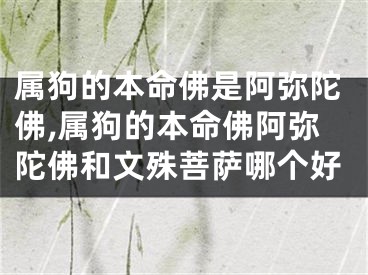 属狗的本命佛是阿弥陀佛,属狗的本命佛阿弥陀佛和文殊菩萨哪个好