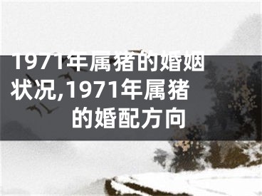 1971年属猪的婚姻状况,1971年属猪的婚配方向