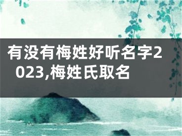 有没有梅姓好听名字2023,梅姓氏取名