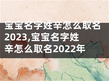 宝宝名字姓辛怎么取名2023,宝宝名字姓辛怎么取名2022年