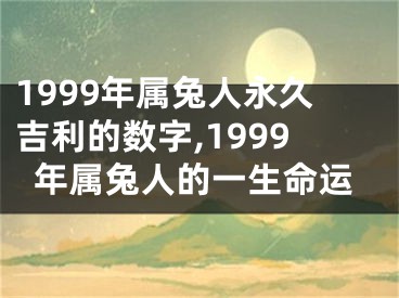 1999年属兔人永久吉利的数字,1999年属兔人的一生命运