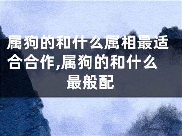 属狗的和什么属相最适合合作,属狗的和什么最般配